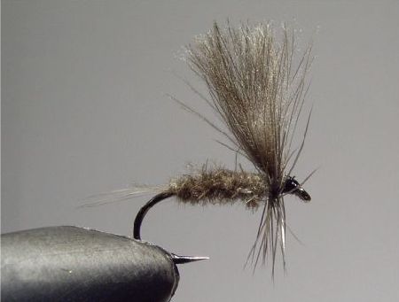 J-008 - CDC dun