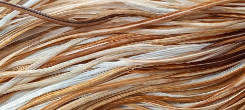 WHT-16 - GINGER/LIGHT GINGER-12-18