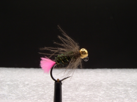 TN-006 - Tungstenová nymfa