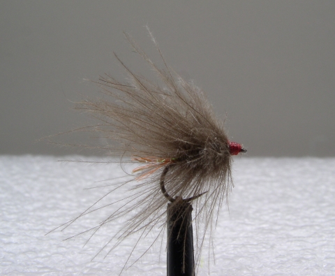 SP-01 - Rockerka