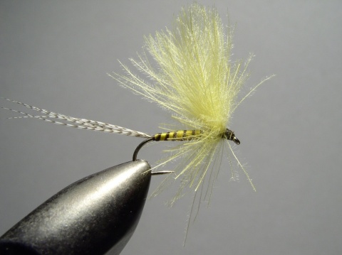 J-077 - Yellow mayfly