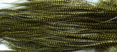 WHT-107 - SEDLOVÝ SKALP - GRIZZLY OLIVE