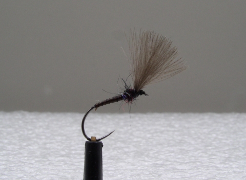 J-096 - ROZENEC JEPICE