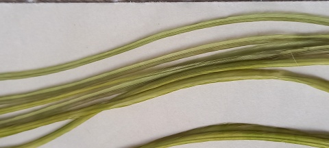 WHT-5 - OLIVE-14-20