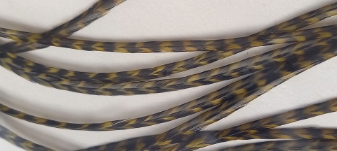 WHT-3 - GRIZZLY DARK OLIVE