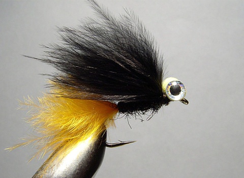 JEZ-023 - Orange black bobby eyes