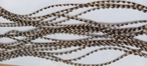 WHT-48 - GRIZZLY NATURAL-8-14
