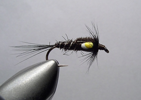 N-267 - Black junglecock nymph