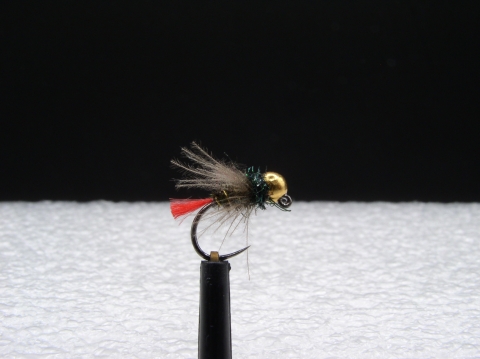 TN-027 - Tungstenová nymfa