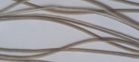 WHT-18 - MEDIUM DUN-16-20