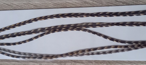 WHT-38 - CREE-16-24